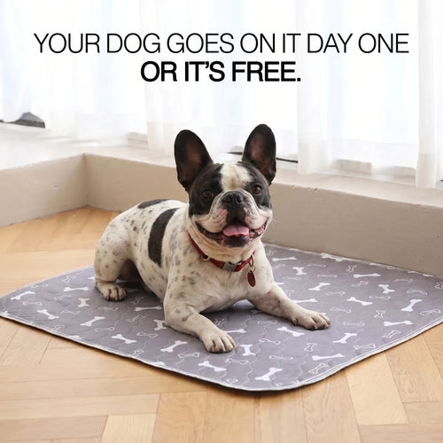 Barkwell™ Washable PupPad 2.0