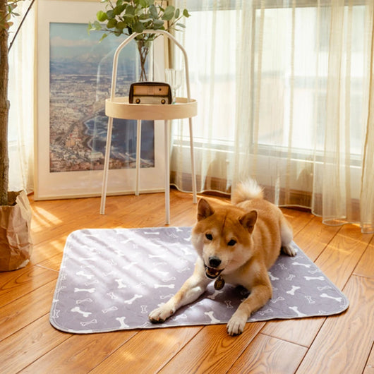 1Pc Puppy Pads with Pheromones, Washable Puppypad Pee Pads, Ultra-Durable 4-Layer Leak-Proof Training Mats with Non-Slip Bottom